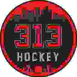 313 Hockey