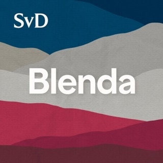 blenda-2