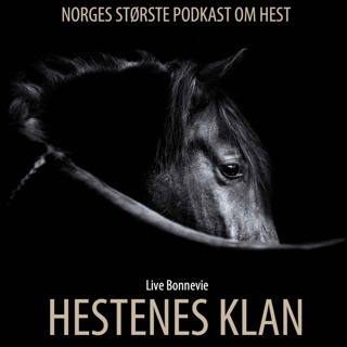 hestenes-klan