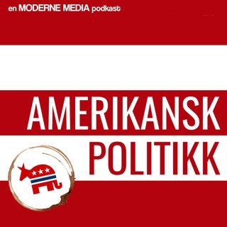 amerikansk-politikk