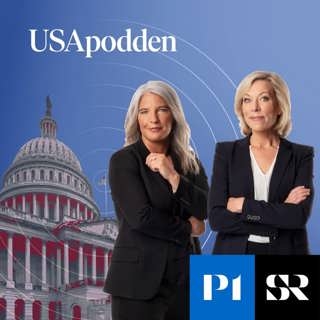 usapodden